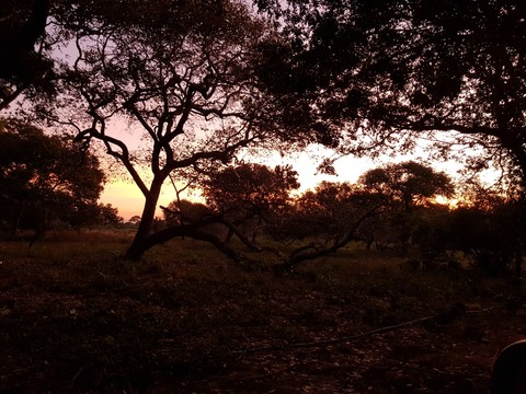 entardecer no rio cristalino, INFORSAT