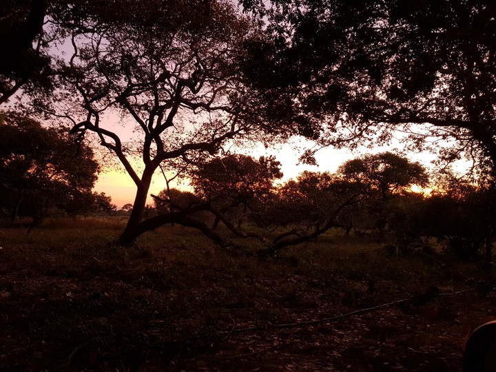 entardecer no rio cristalino, INFORSAT