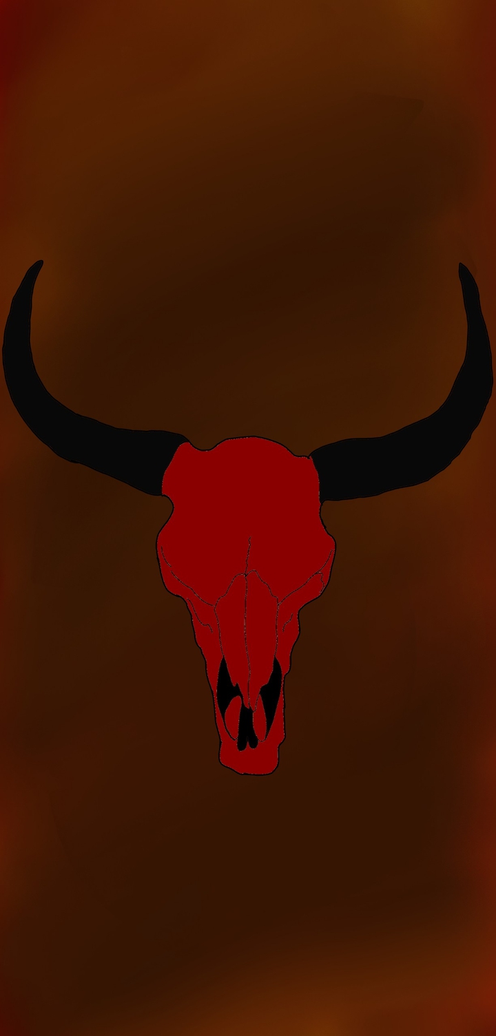 cow skull