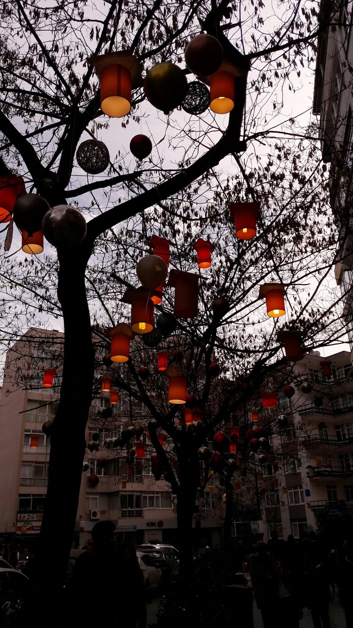 Lights