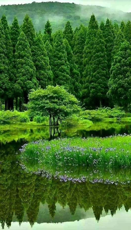 Greeeeeeeeeeen