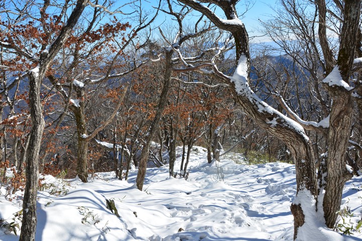풍경이미지