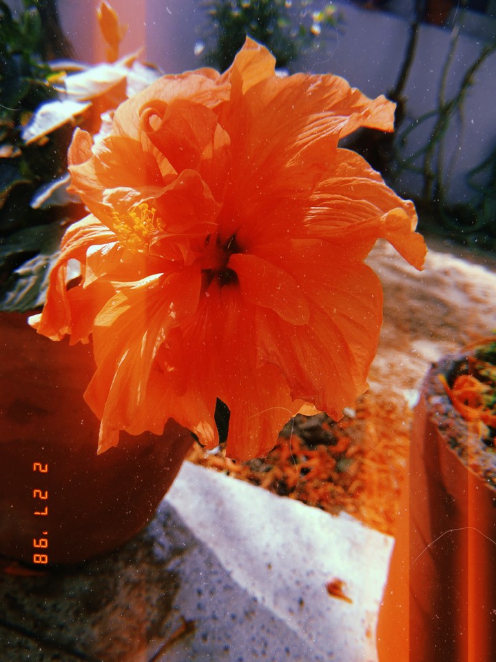 Happy Day