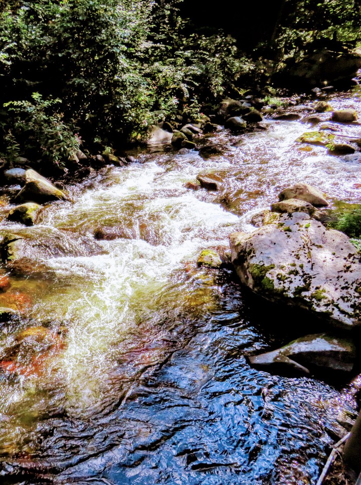 Gebirgsbach Nähe Thale