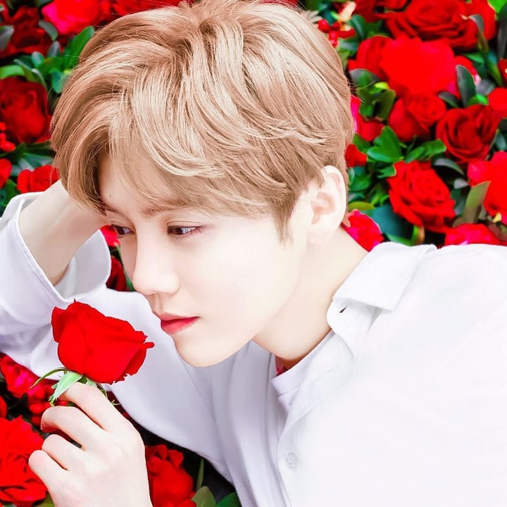 Luhan with roses ♡ For my lovely friend ♡DEEKSHA♡