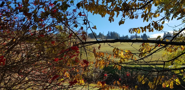 autumcolor