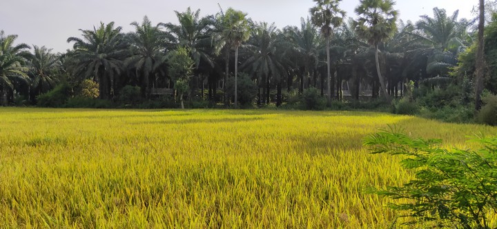 A roadtrip through villages