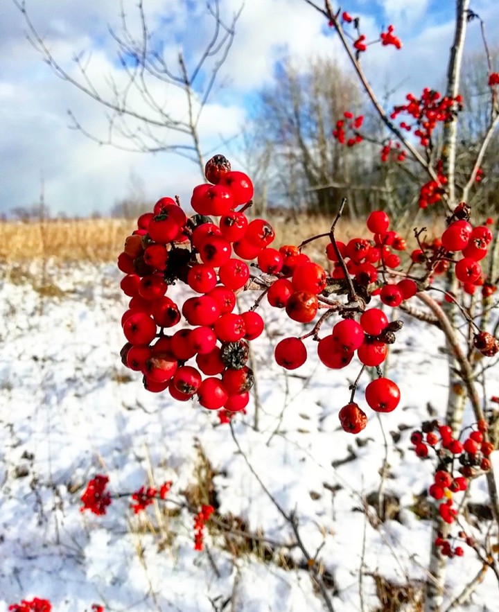 winter