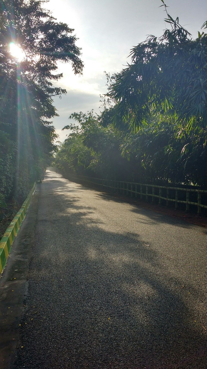 sun rays