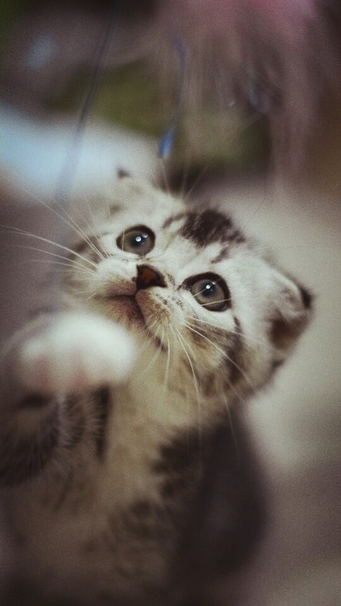 sweet