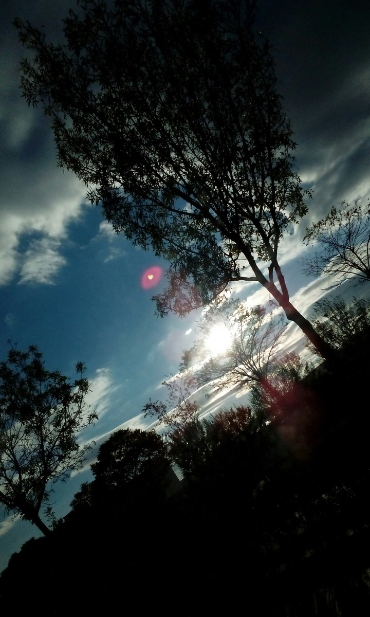 sun