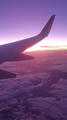 The Beauty