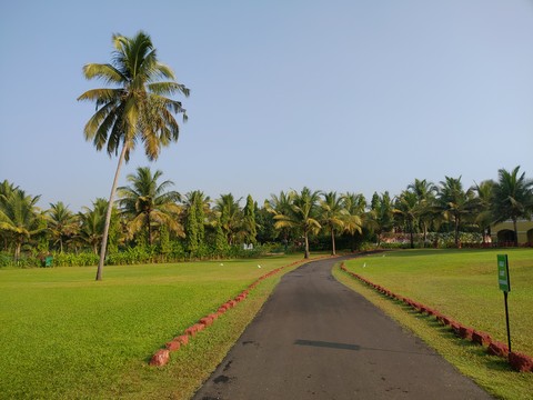 Pathway!