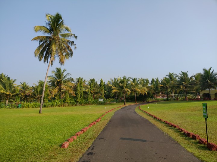 Pathway!
