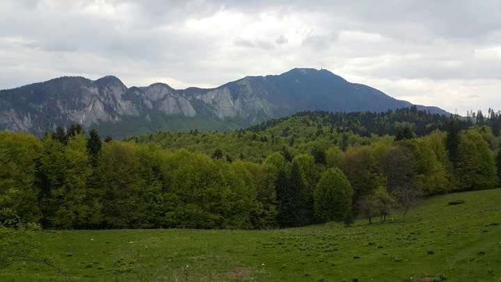 Romania