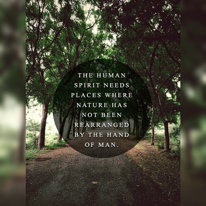 Nature Quote