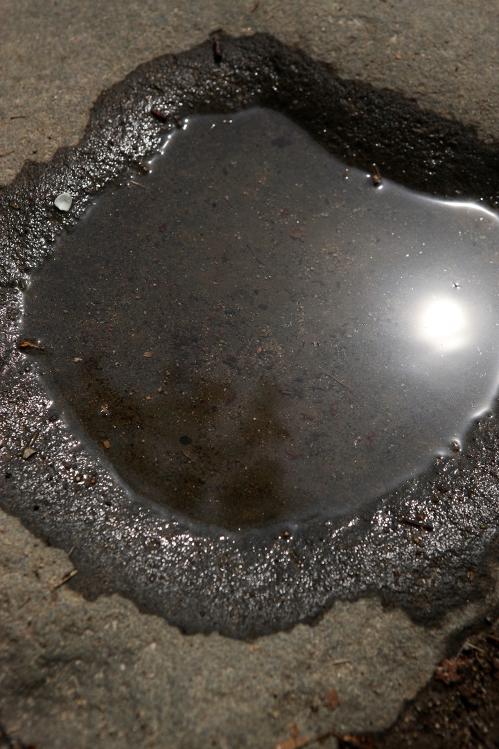 Waterhole
