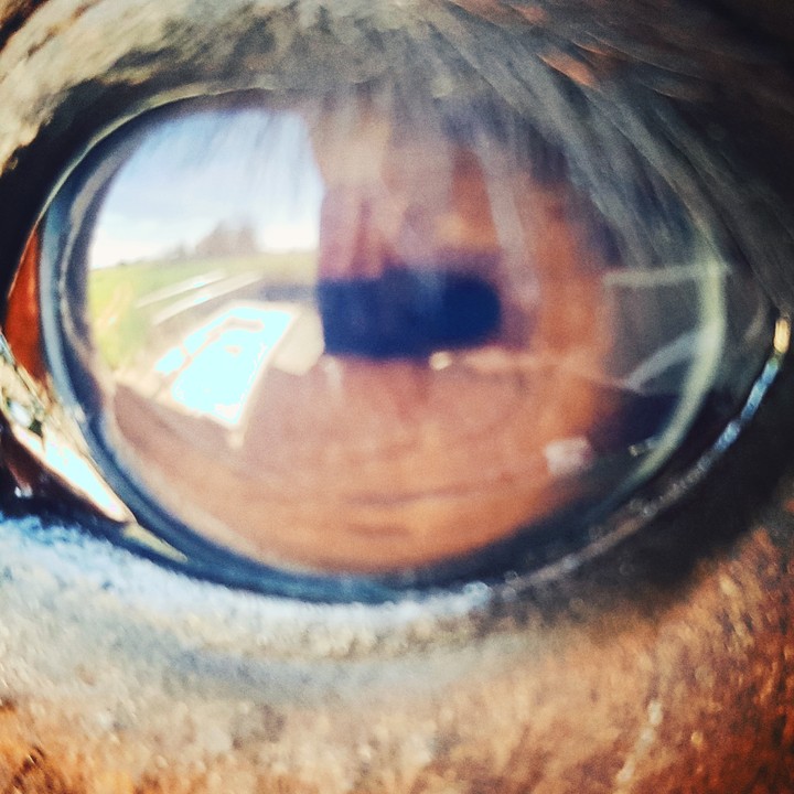 una tarde familiar en contacto con la naturaleza