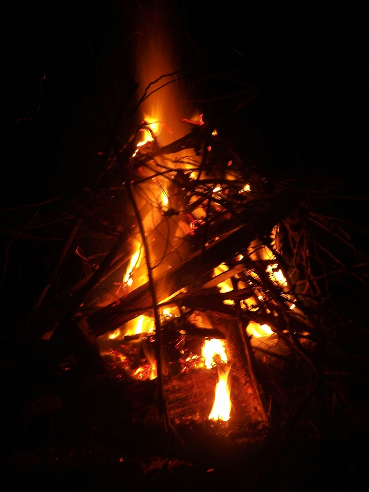 The Wooden Fire