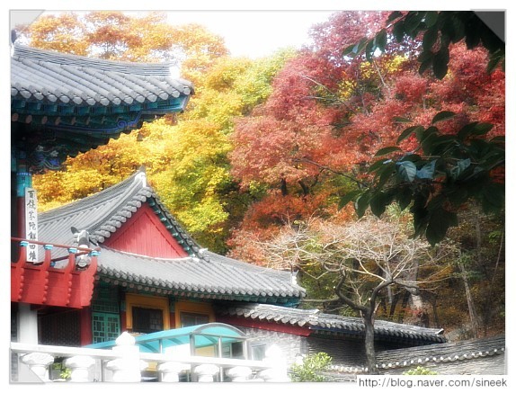 가을산사