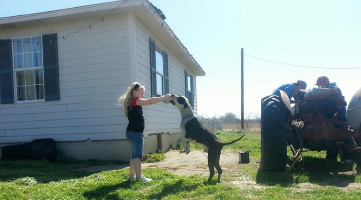 Babygirl & BoBo The Pit Bull