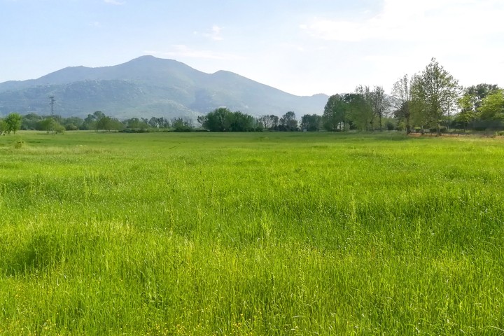 I colori della natura