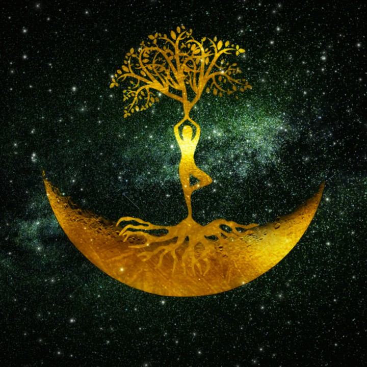 tree of life