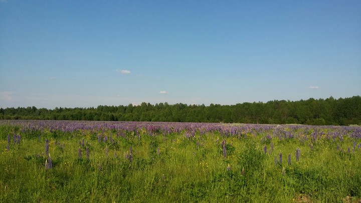 ☀ ЛЕТО.РАЙ!