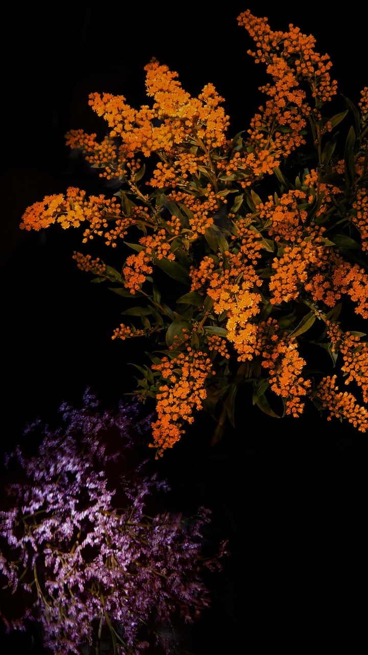 IOS 9 Flowers