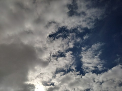 God's creation