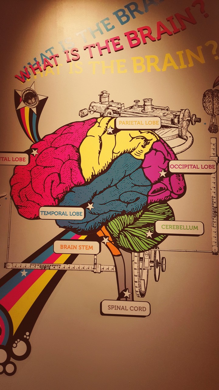 brain tell what...