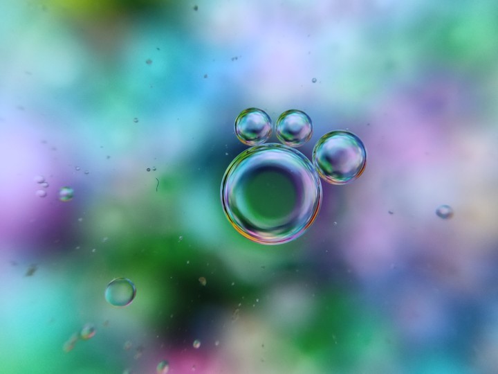 colours