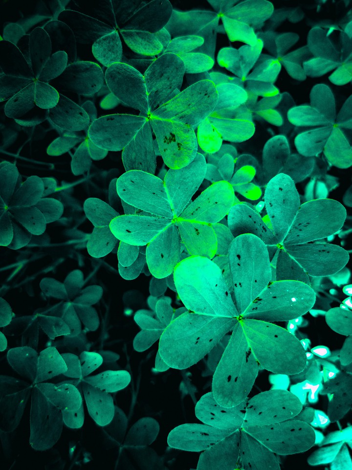 Natura