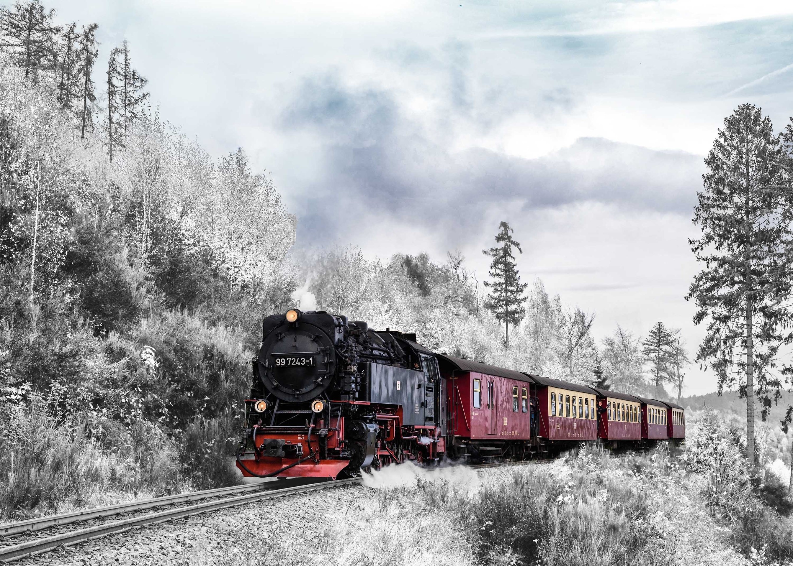 train