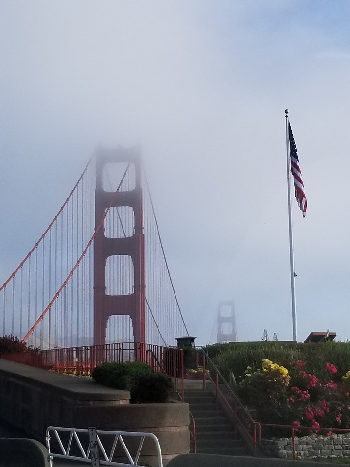 morning in the city
