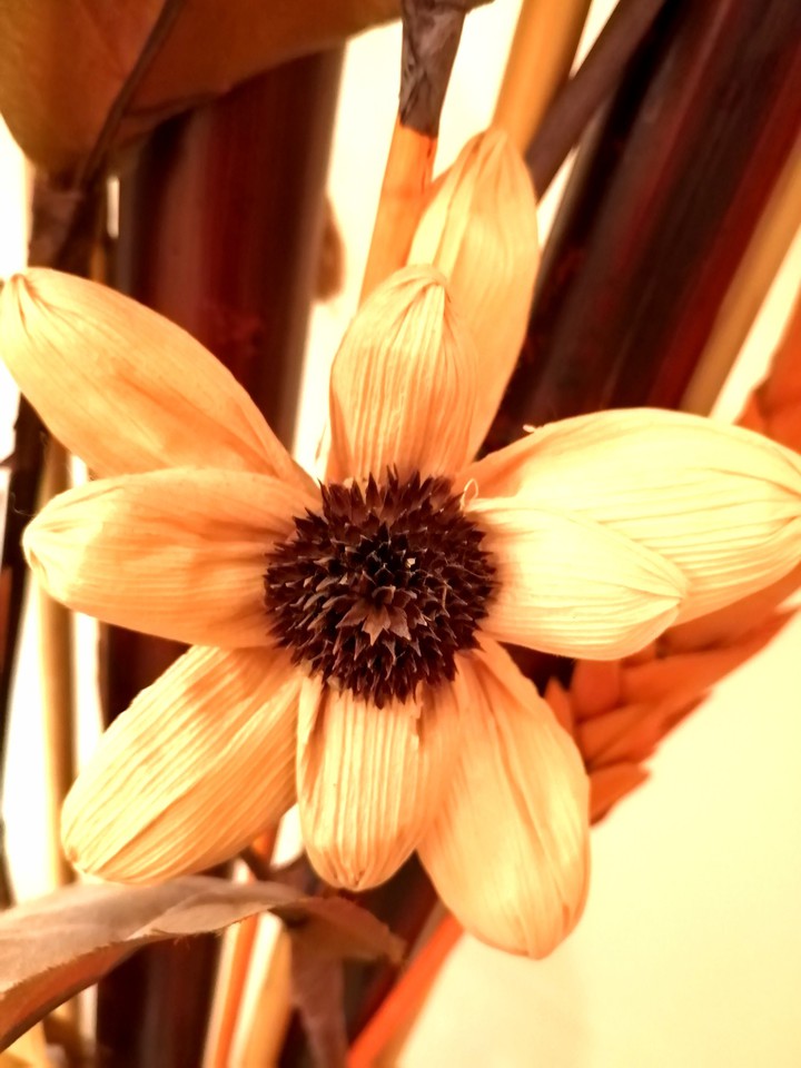 Dried Flower