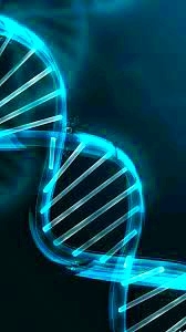 DNA
