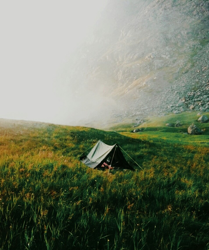 A dream 