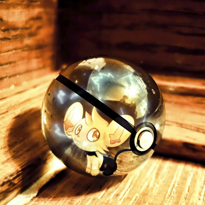 pokemon