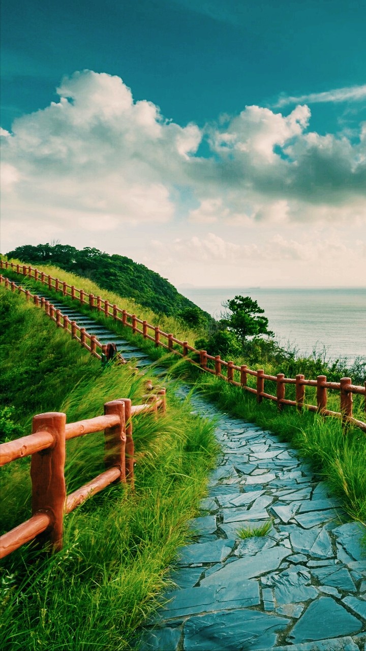 finding way to life