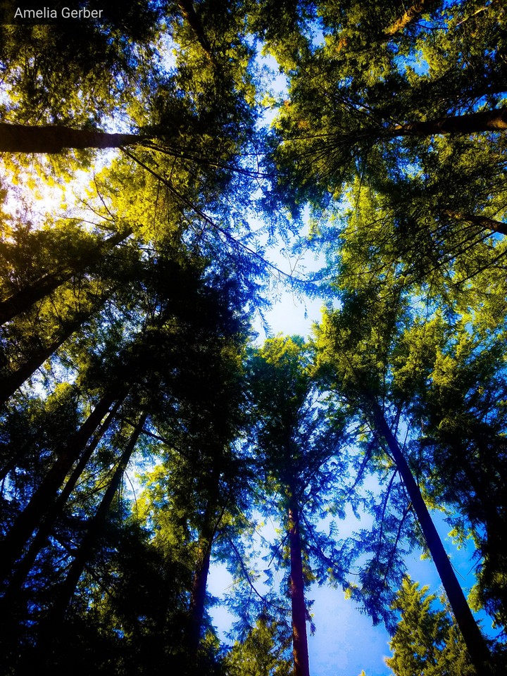 sky