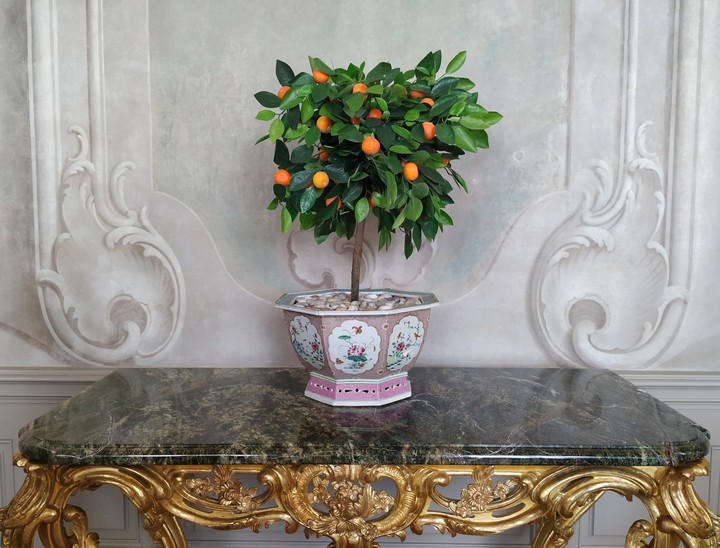 Oranges on a table