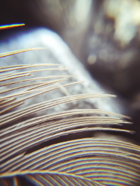 Some macro
