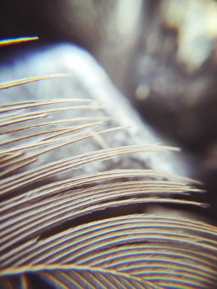 Some macro