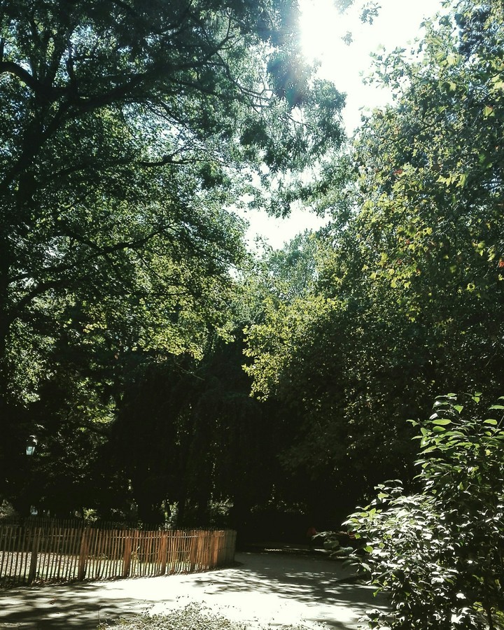 promenade dans le parc !