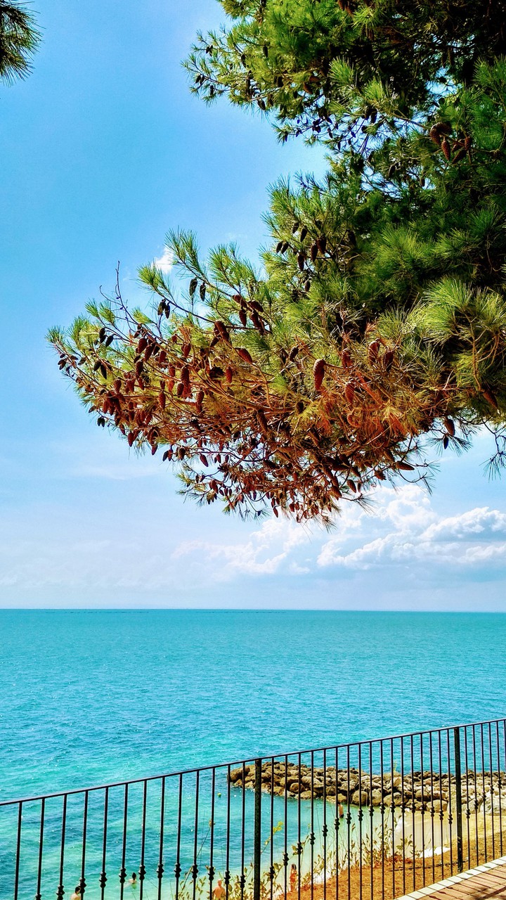 Sunny beach