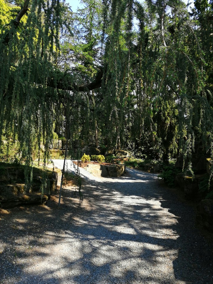 secret garden