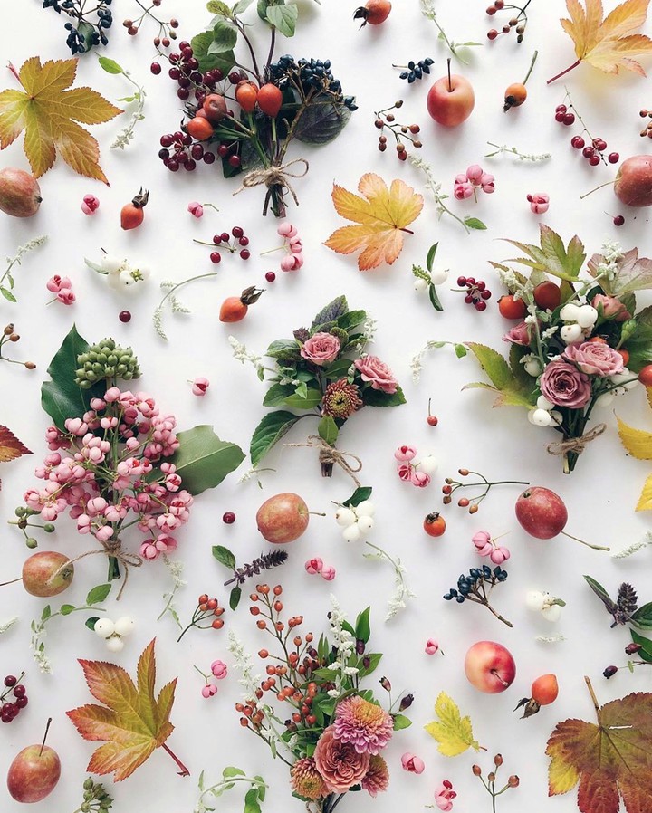 autumn