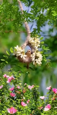 Nature.