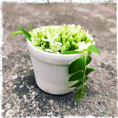 Mini flowerpot